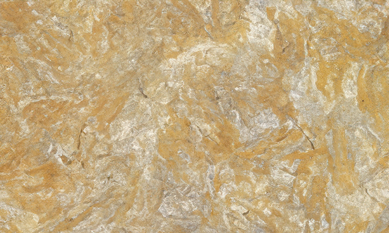 Amidala Gold Granite