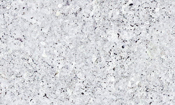 Oxford White Granite