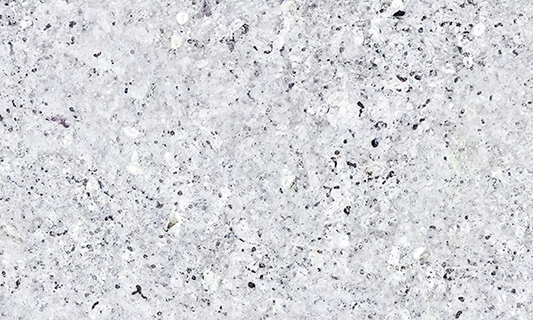 Oxford White Granite