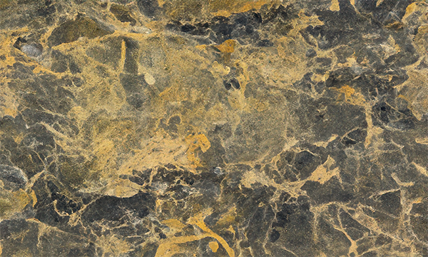 Amazon Tiger Granite