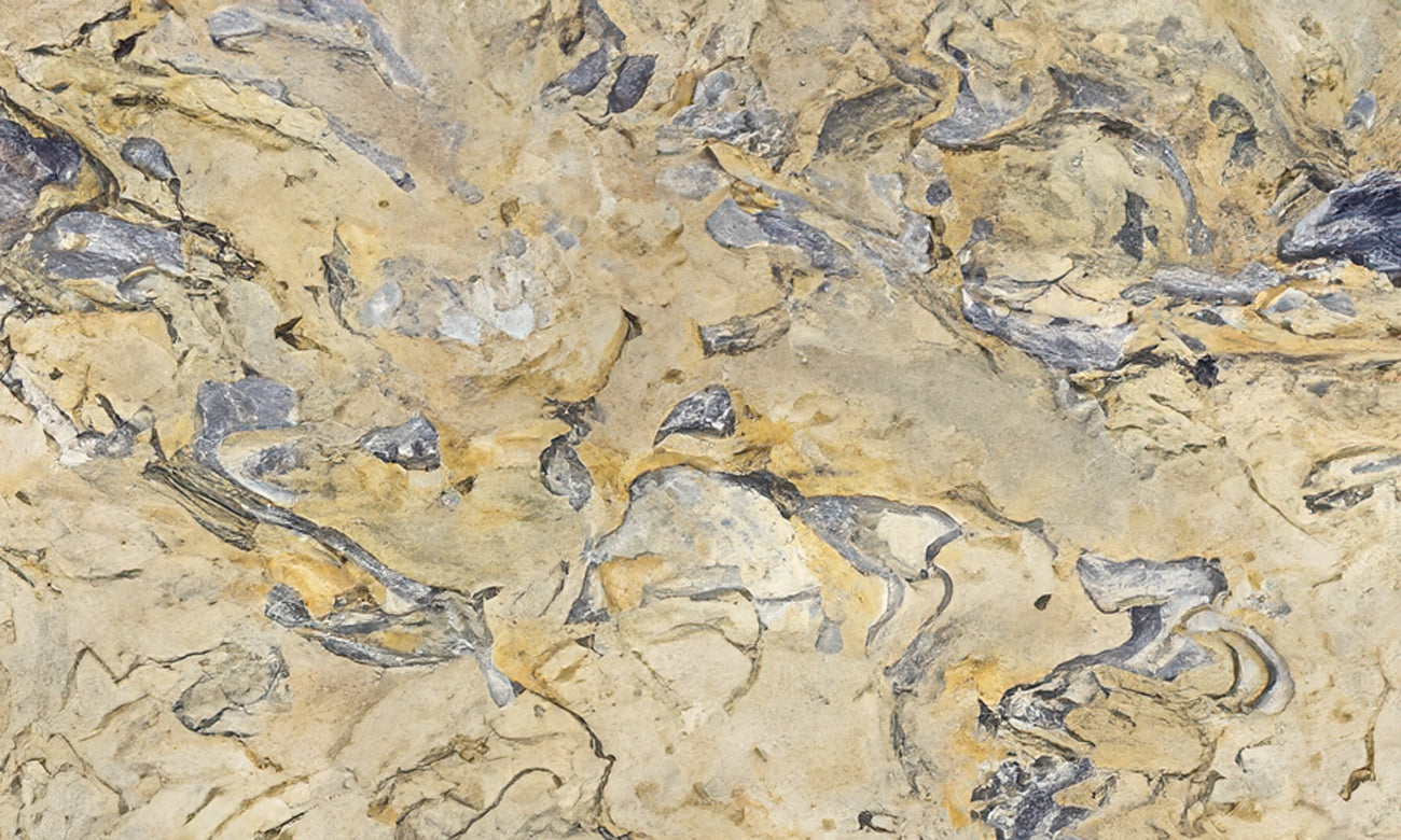 Juparana Exotica Granite