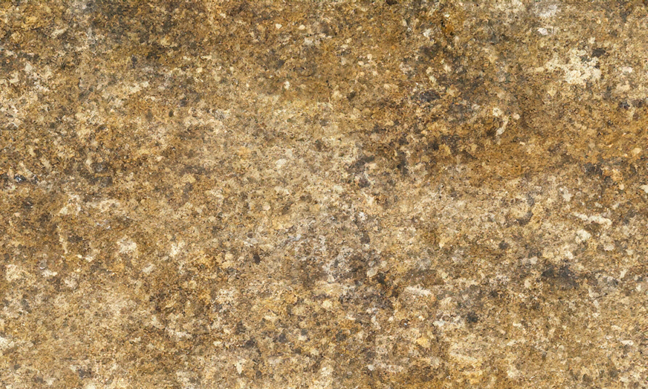 Sun Flower Granite