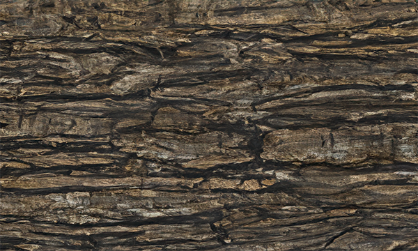 Sandalus Leather Quartzite