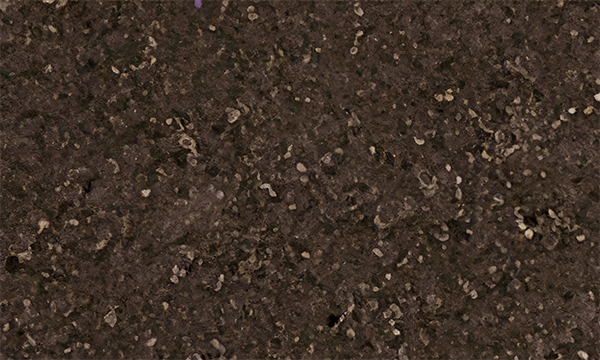 Brown Antique Granite
