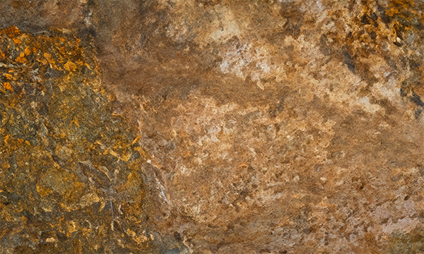 Ouro Fantastico Granite