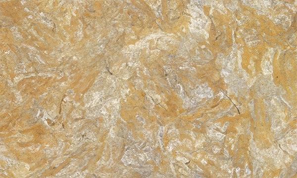 Amidala Gold Granite