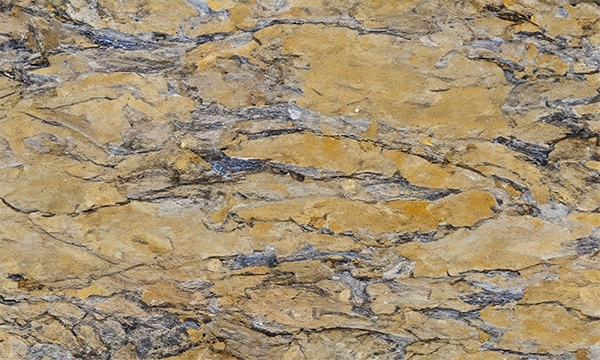 Peregrine Gold Granite