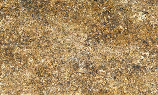 Sun Flower Granite