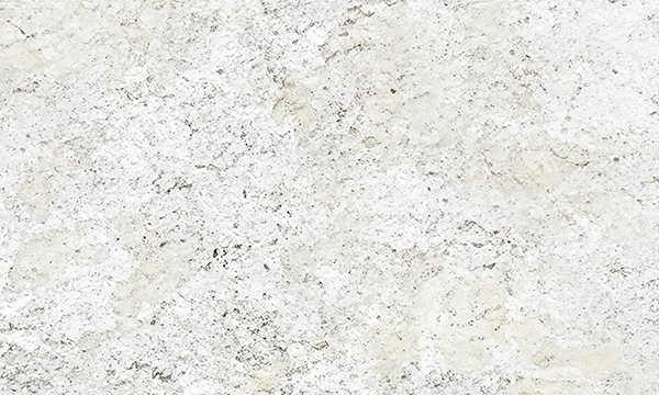 Fantastic White Granite