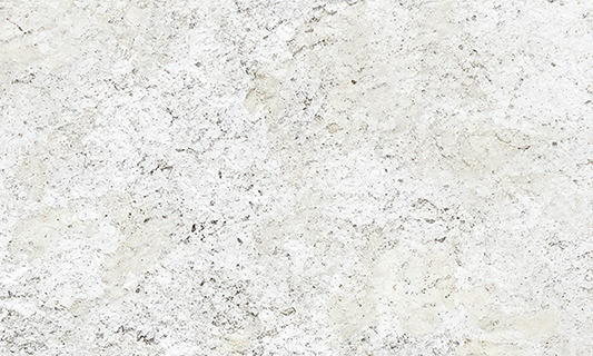 Fantastic White Granite