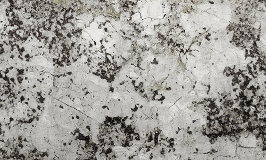 Delicatus White Granite