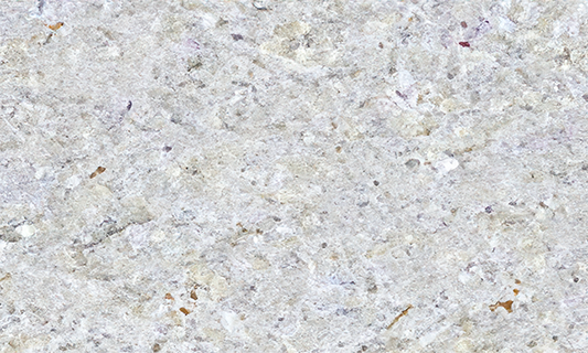 New Kashmir White Granite