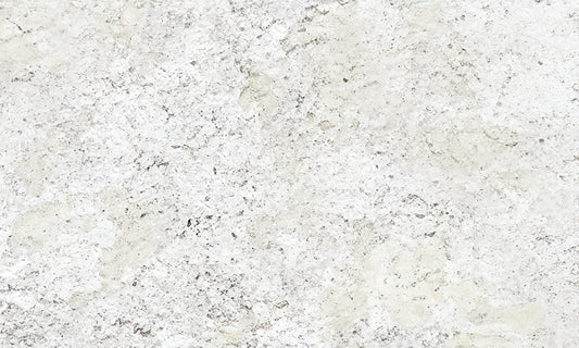 Fantastic White Granite