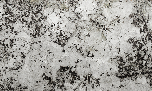 Delicatus White Granite