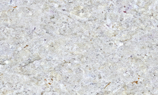 New Kashmir White Granite