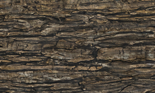 Sandalus Leather Quartzite