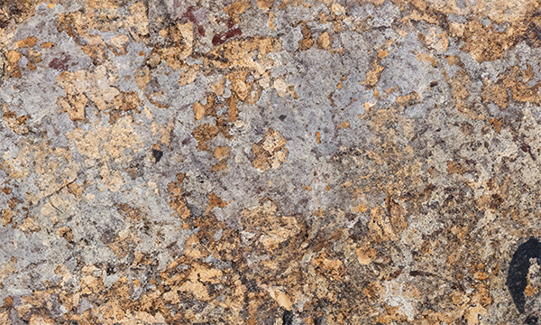 Exotic Gold Granite