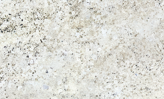 Bianco Latino Granite