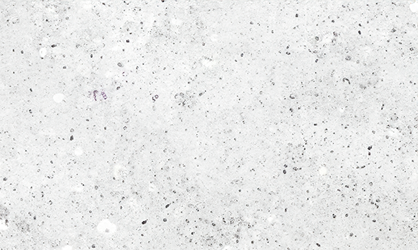 Colonial White Granite