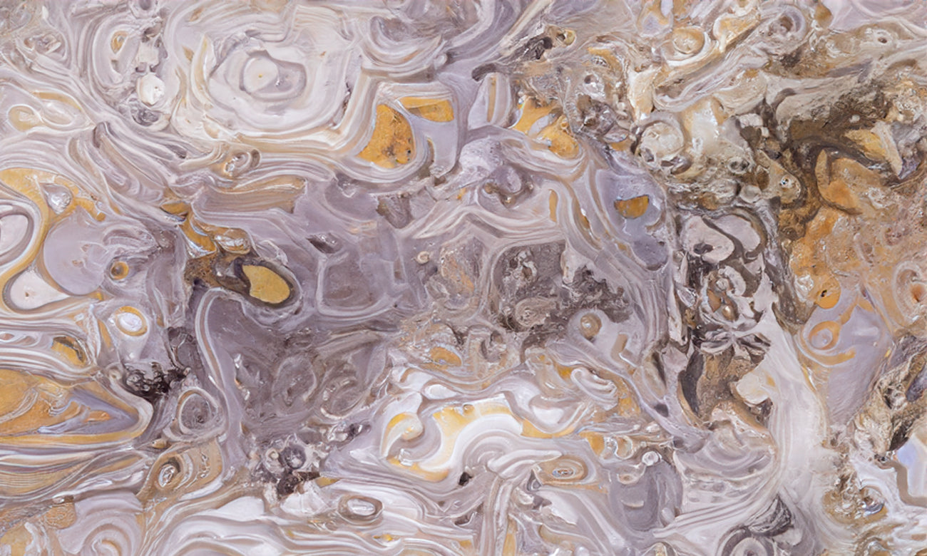 Picasso Quartzite Quartzite