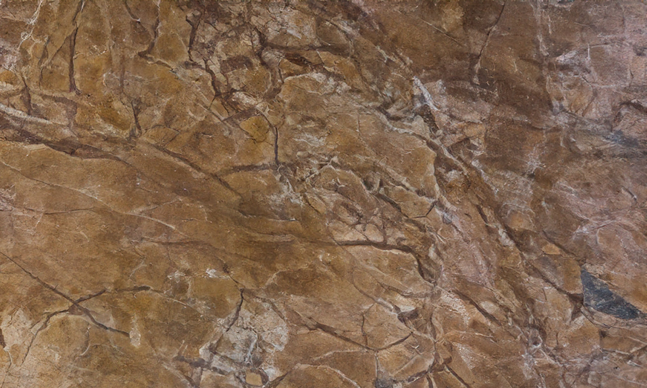 Rainforest Brown Marble