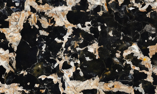 Jurassic Black Quartzite