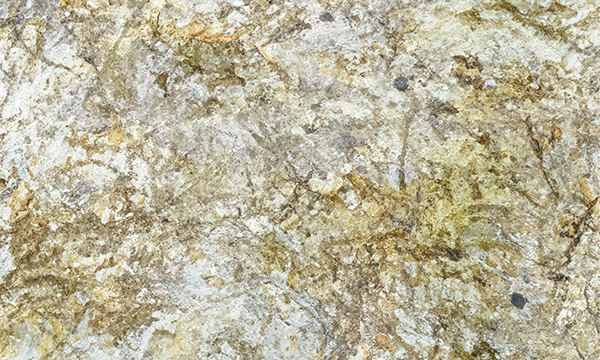 Harvest Cream Granite