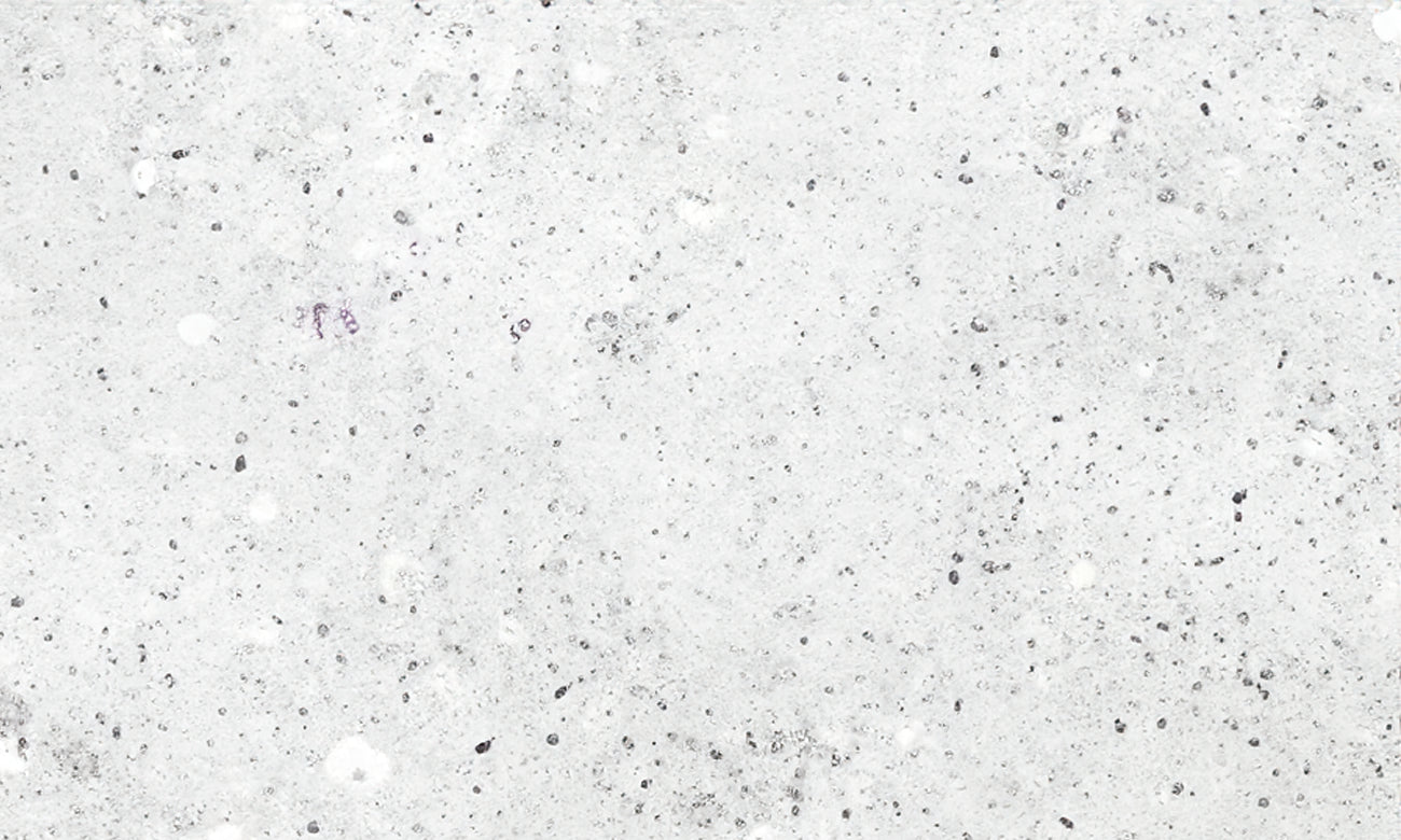 Colonial White Granite