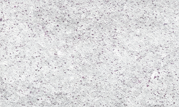 Bacca Bianca Granite